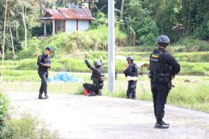 Tim Jibom Gegana Brimob Polda Sulsel Musnahkan Granat Nanas di Tana Toraja