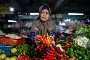 Kemendag Dorong Daerah untuk Stabilisasi Harga Cabai Rawit