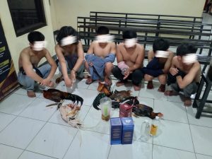 Gerebek Judi Sabung Ayam, Polsek Biringkanaya Amankan 7 Orang