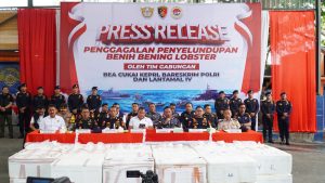 Bareskrim Polri Gagalkan Penyeludupan 237.305 Benih Bening Lobster Senilai 23,6 Miliar Rupiah