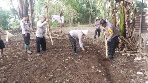 Dukung Program Ketahanan Pangan, Polsek Manggala Polrestabes Makassar Tanami 5.000 Bibit Jagung Hibrida di Lahan Tidur