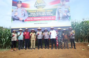 Dukung Ketahanan Pangan, Kapolda Sulsel dan Forkopimda Luwu Timur Panen Jagung di Malili