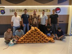 Polisi Gagalkan Peredaran Ganja 47 Kg di Sumbar, 4 Tersangka Diciduk