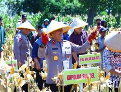 Panen Raya Jagung Serentak Kuartal II 2025 Digelar di Takalar, Kapolda Sulsel Pimpin Langsung Kegiatan