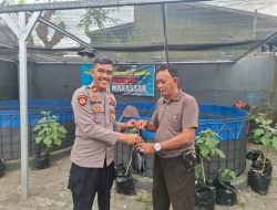 Dukung Ketahanan Pangan, Polsek Makassar Panen dan Salurkan ke Warga