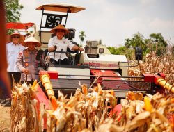 Polri Distribusikan 1.765 Ton Jagung ke Gudang Perum Bulog pada Panen Raya Kuartal III
