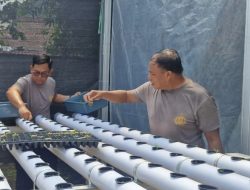 Kapolsek Biringkanaya bersama Personel Tanam Sayuran Sistem Hidroponik Dukung Ketahanan Pangan