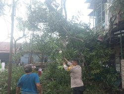 Bhabinkamtibmas Katimbang Dampingi Pammat Polda Sulsel Evakuasi Pohon Nyaris Tumbang