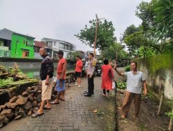 Pohon Tumbang Tutup Jalan, Bhabinkamtibmas Polsek Tamalate Bersama Warga Gotong Royong Bersihkan Jalan