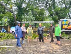 Respon Cepat, Personel Polsek Biringkanaya Evakuasi Pohon Tumbang di Jalan Pajjaiang