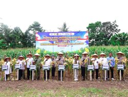 Kapolda Sulsel Pimpinan Panen Raya Jagubng Kuartal 2 Tahun 2026 di Mandalle, Pangkep