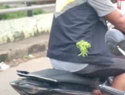 Pelaku Penganiayaan Driver Maxim dengan Busur Panah Diamankan Polsek Manggala