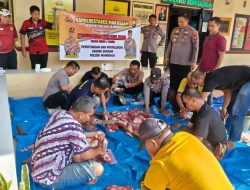 Polsek Manggala Potong Dua Ekor Sapi Kurban, Daging Dibagikan kepada Warga